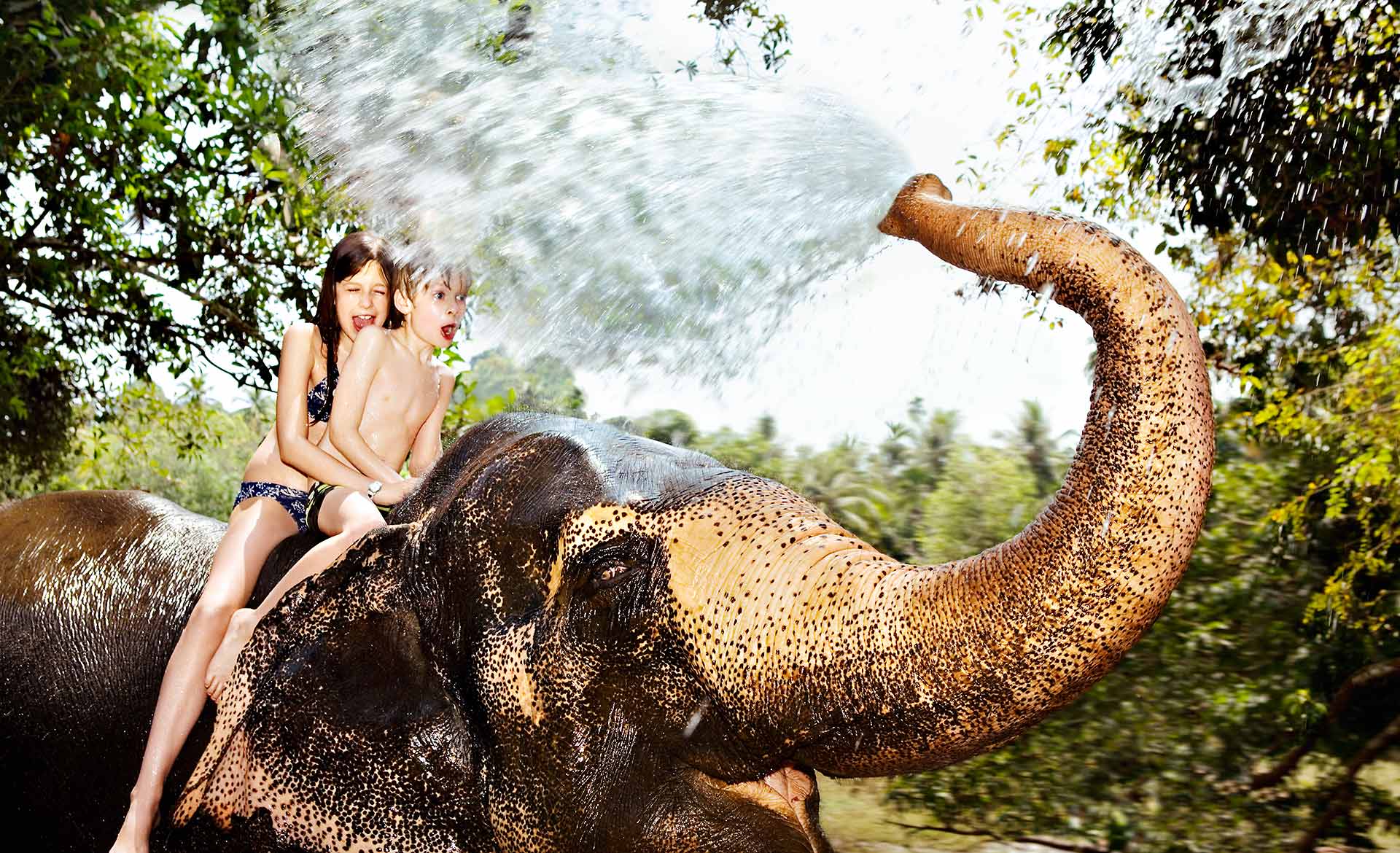 Kids On Elephant