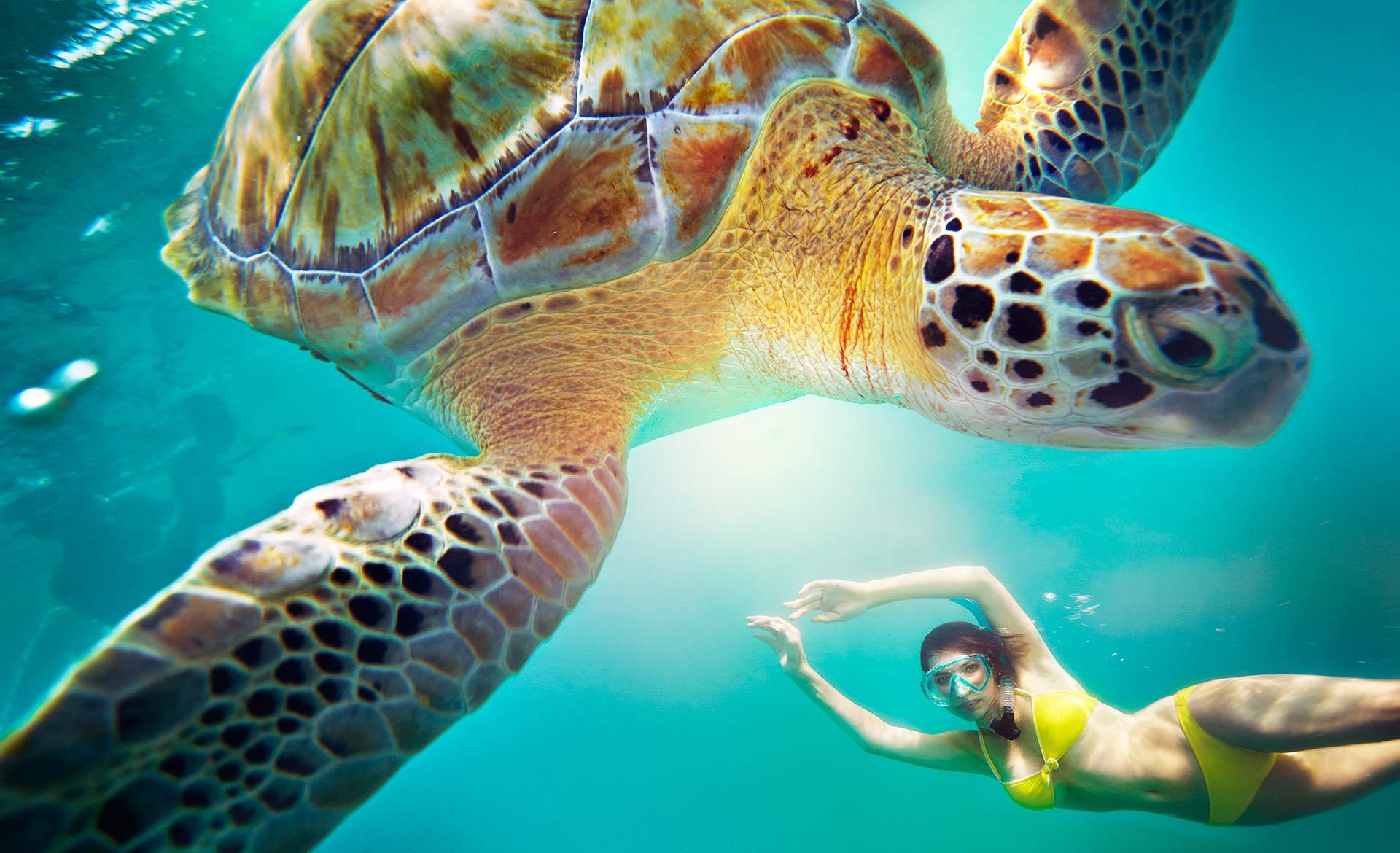 Snorkeling_Trip_RC_150419_C0228_V2